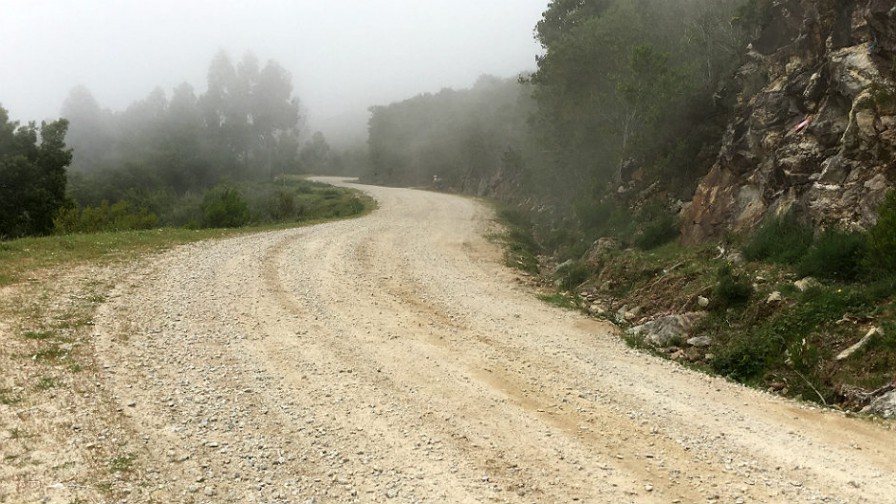 8691_SS47-fog-2016_245_896x504