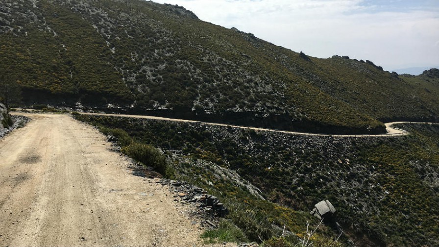 8692_SS11-14-hillside-2016_556_896x504